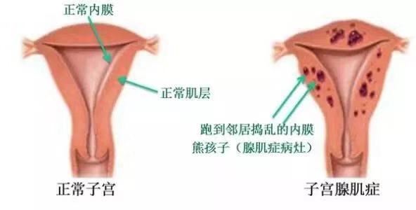微信圖片_20181207173246.jpg