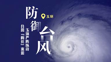 臺風(fēng)梅花