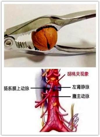 說明: 微信圖片_20190710083919.jpg